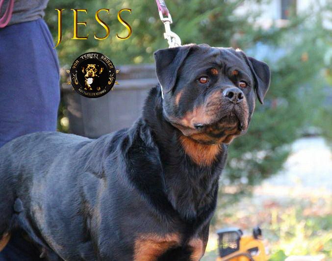 JOLIE SOLEIL DITE JESS